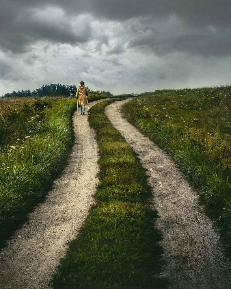Perilous Journeys